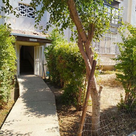 Haifa Lux Apartments E&S Kültér fotó